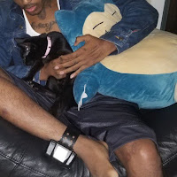 Xxxtentacion - #Proudcatowner #Ihaterappers #Ieatpussy mp3 скачать